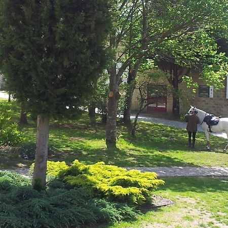Palas de Rei コンプレーホ ラ カバニャヴィラ エクステリア 写真